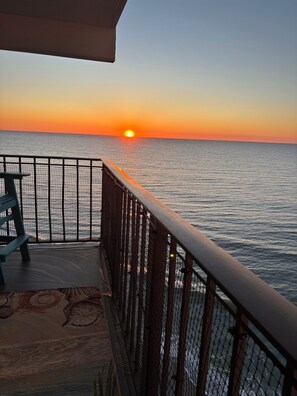 Property grounds - Direct Oceanfront Paradise: Private Bacony & On-Site Beach Bar at Royal Garden! (Murrells Inlet)