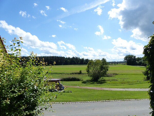 Oklassificerad bild, 1 av 45, knapp