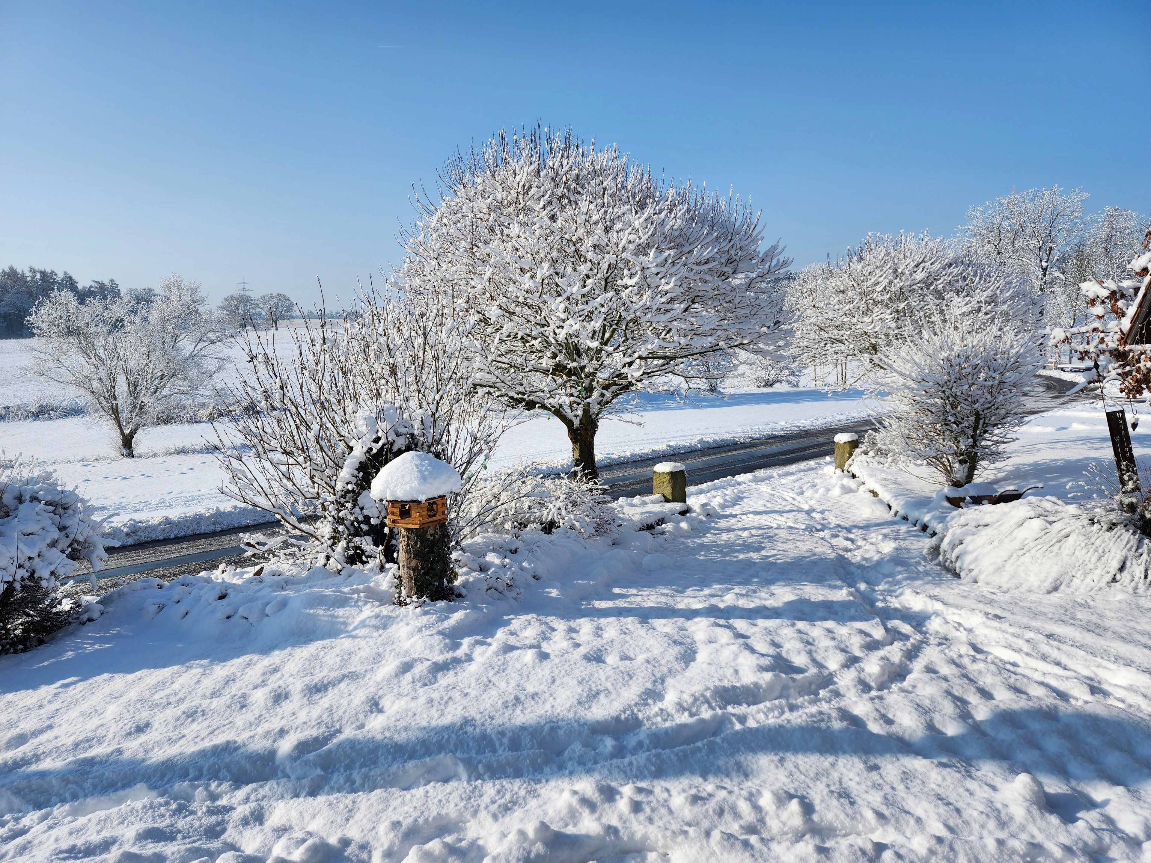 A snow-covered landscape with trees and a clear sky.
