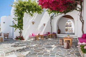 Terras