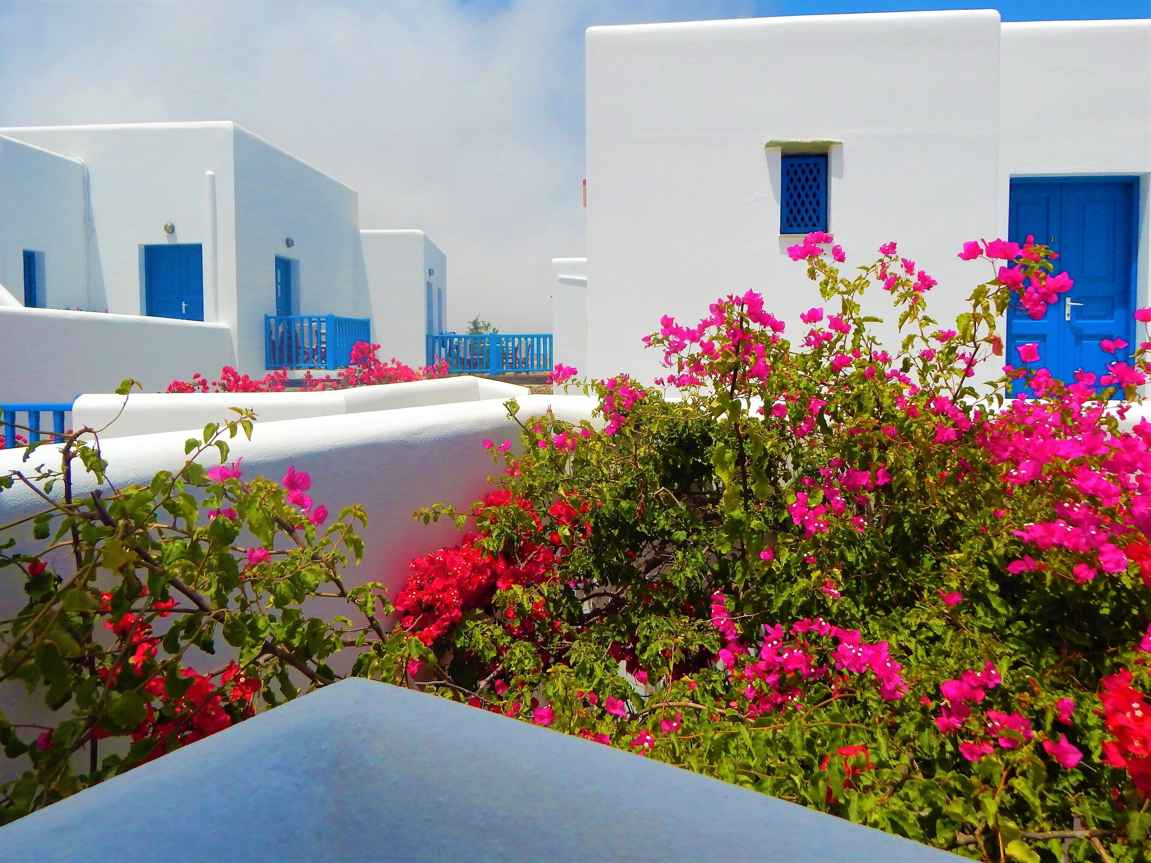 Een rij witte gebouwen met blauwe deuren en ramen, omringd door roze bougainvillea.