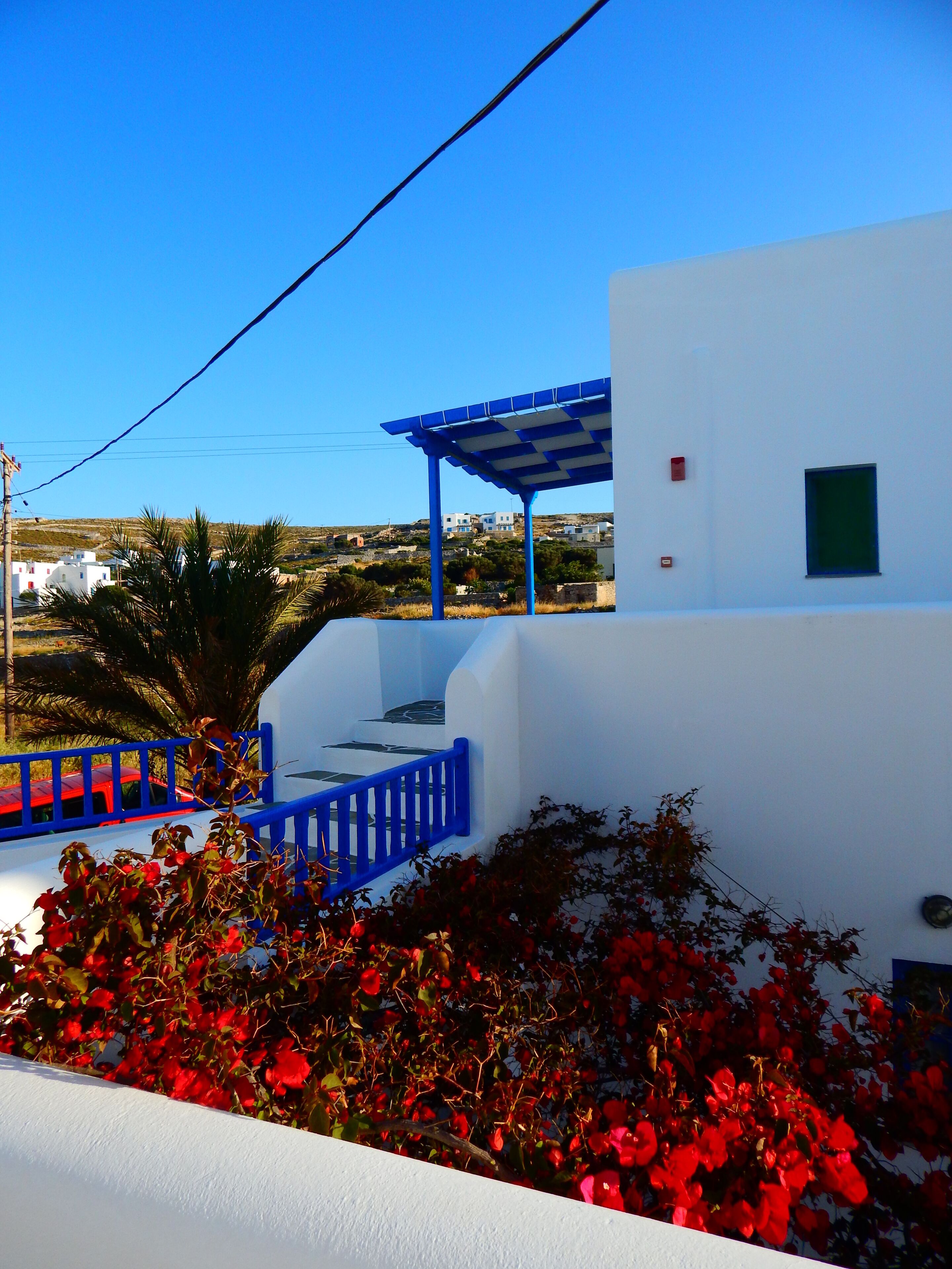 A white building with blue accents, a covered outdoor area, and red flowering plants.