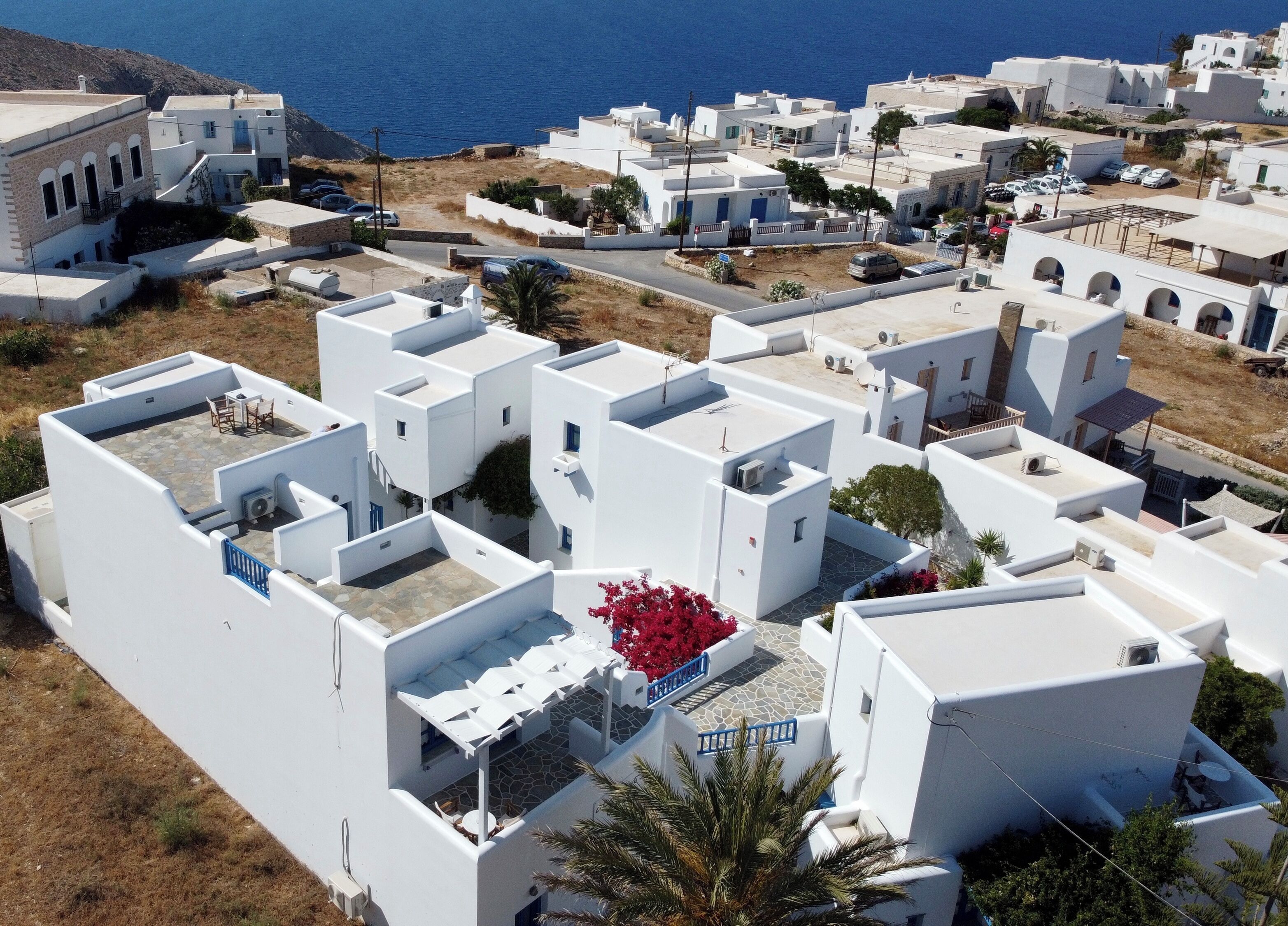 A coastal village with white buildings, a clear blue sea, and a red flower in the foreground.