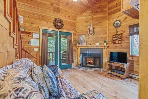 Honey Bear Haven - The warmth of the floor to ceiling wood invites relaxation