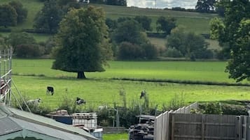 House, 3 Bedrooms | Property grounds