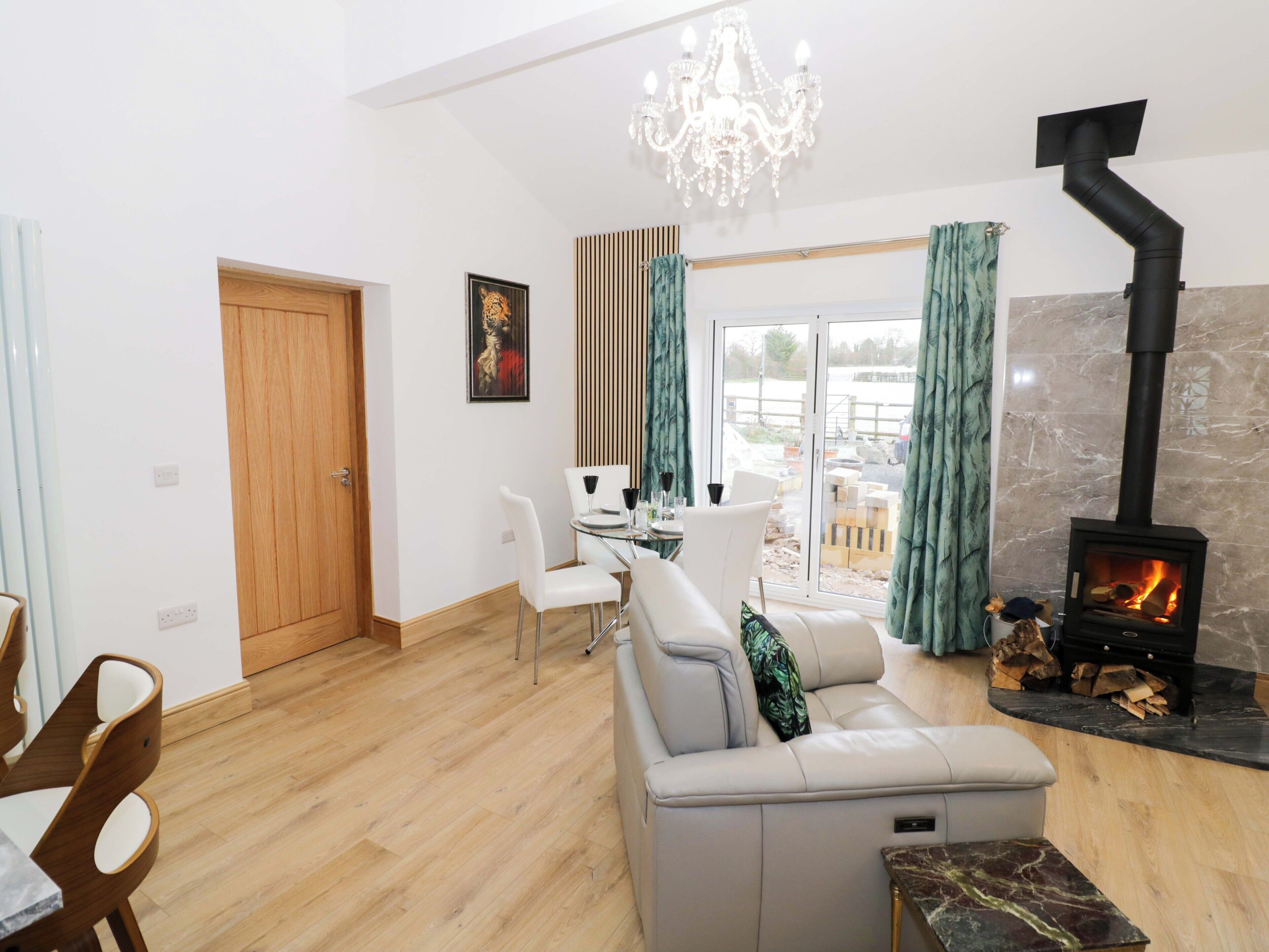Flat-screen TV, fireplace