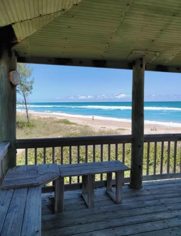 Property grounds - 2- bedroom getaway walking distance to shops, restaurants, beaches and more. (Jensen Beach)