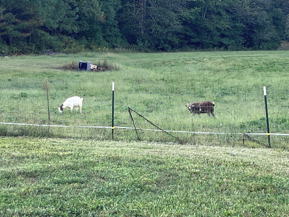 Værtens profilbillede