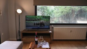Una stanza con una televisione che mostra una scena naturalistica, una bottiglia di vino e bicchieri su un tavolo di legno.