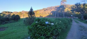Comfort Villa | Terrace/patio - MEDIEVAL VILLAGE LOFTS (Canela)