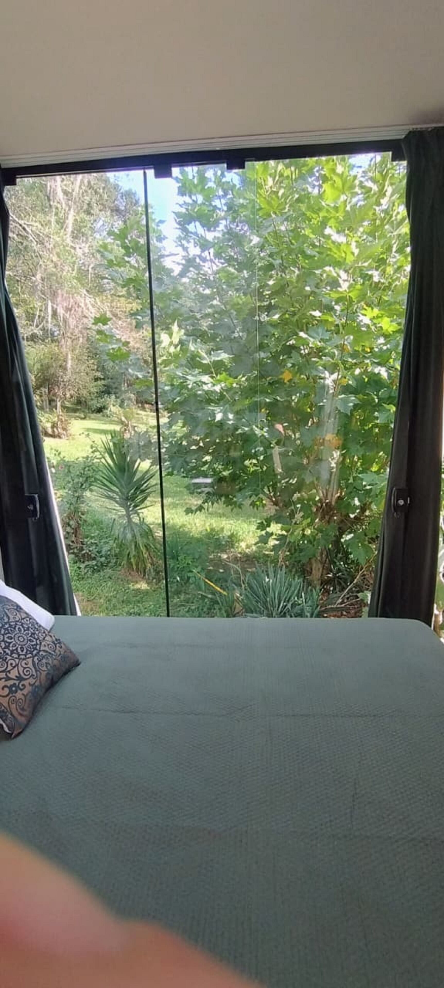A room with a bed, a view of greenery outside through a large window.
