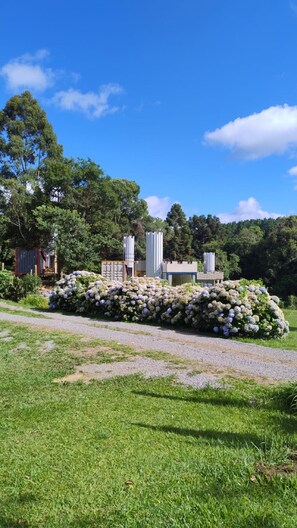A building with a gravel path, surrounded by lush greenery and trees.