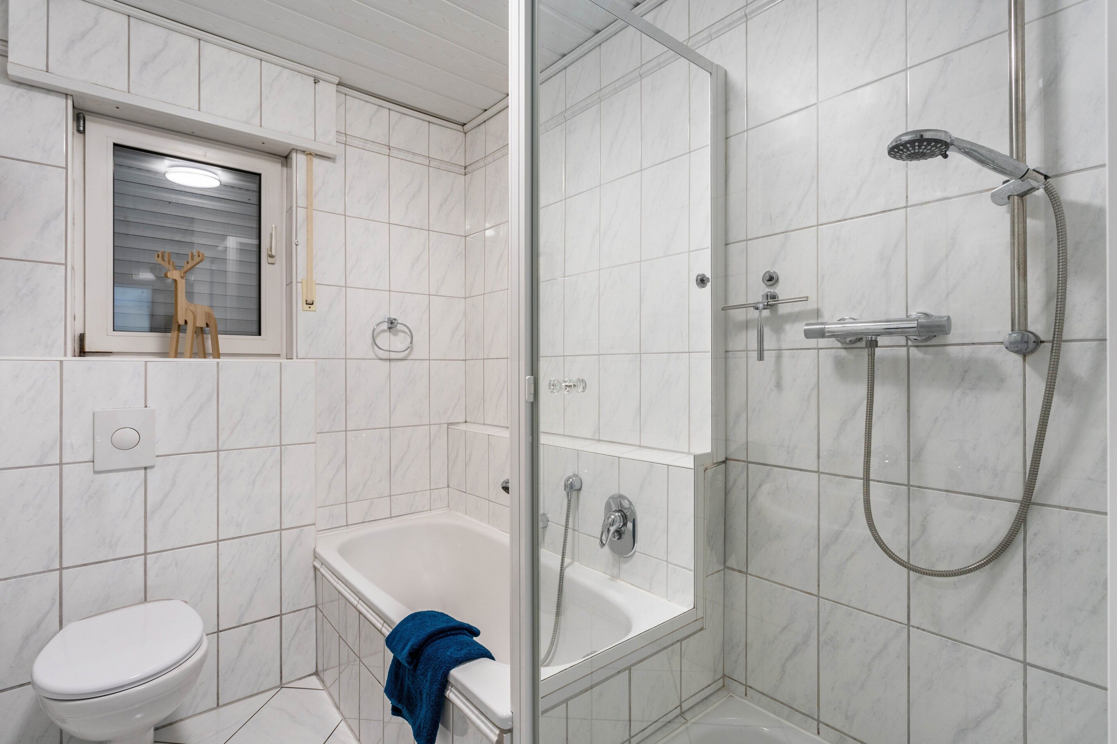 Shower, hair dryer, towels