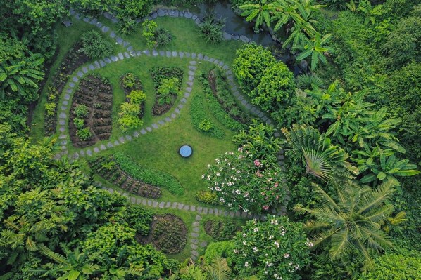 An aerial view of a lush garden with winding paths, a central pond, and dense tropical vegetation. - Kappa Senses Zanzibar (Pwani Mchangani)