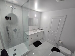Shower, hair dryer, soap, toilet paper - GTA Get Away, central location, close to highway 407, minutes to Highway 401. (Brampton)