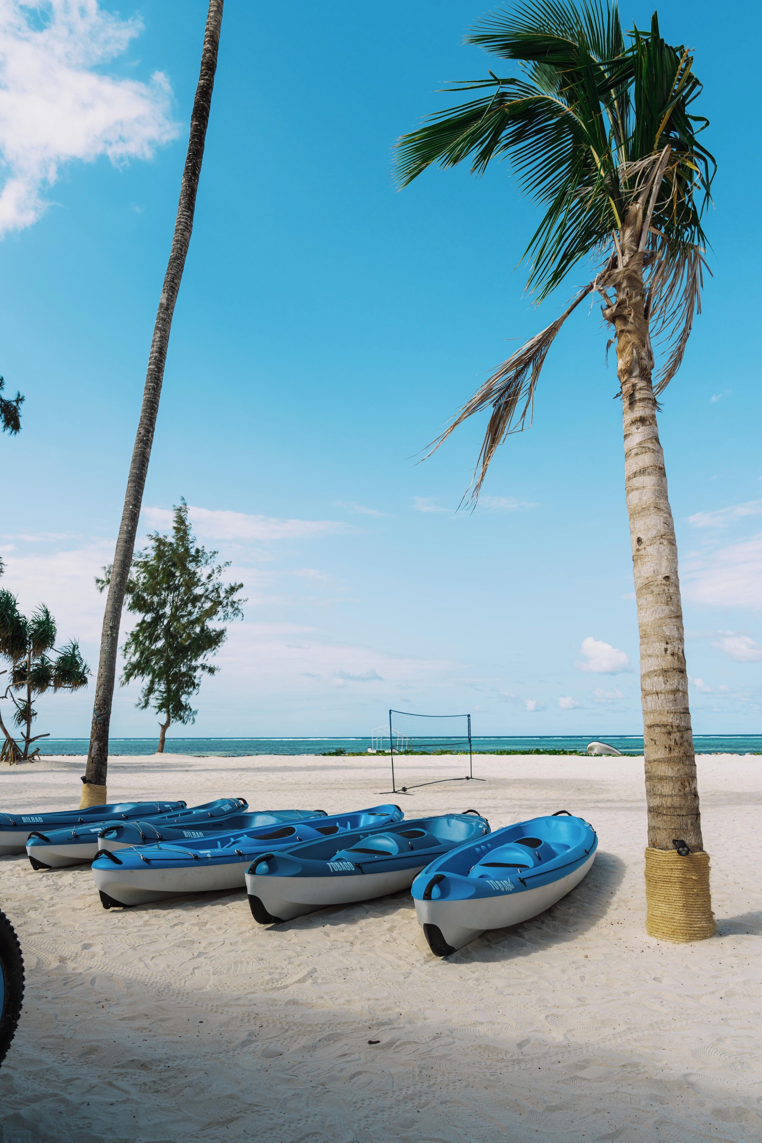 Una playa con varias kayaks azules alineadas cerca de palmeras, una red de voleibol y un cielo azul despejado.