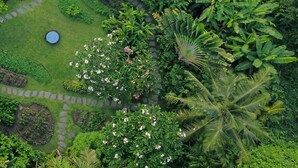 Vue aérienne d’un jardin luxuriant, avec un étang, des allées sinueuses et une végétation variée.