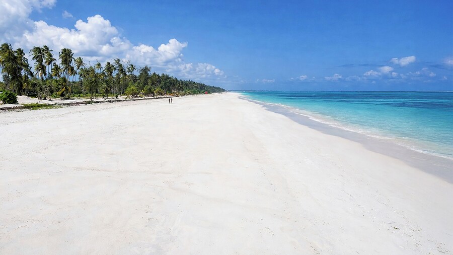 Anaya Zanzibar