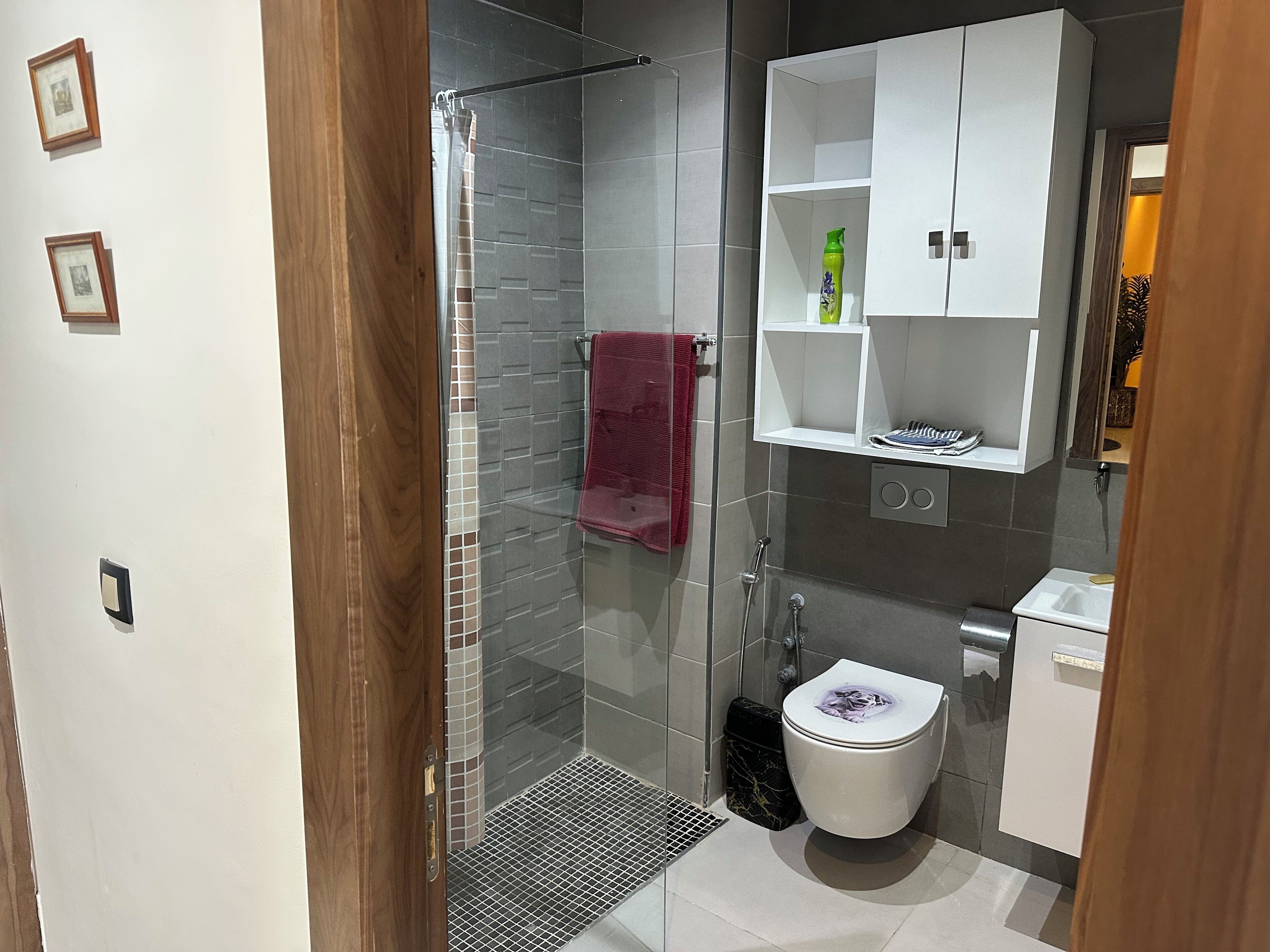 淋浴设施、毛巾、肥皂、卫生纸