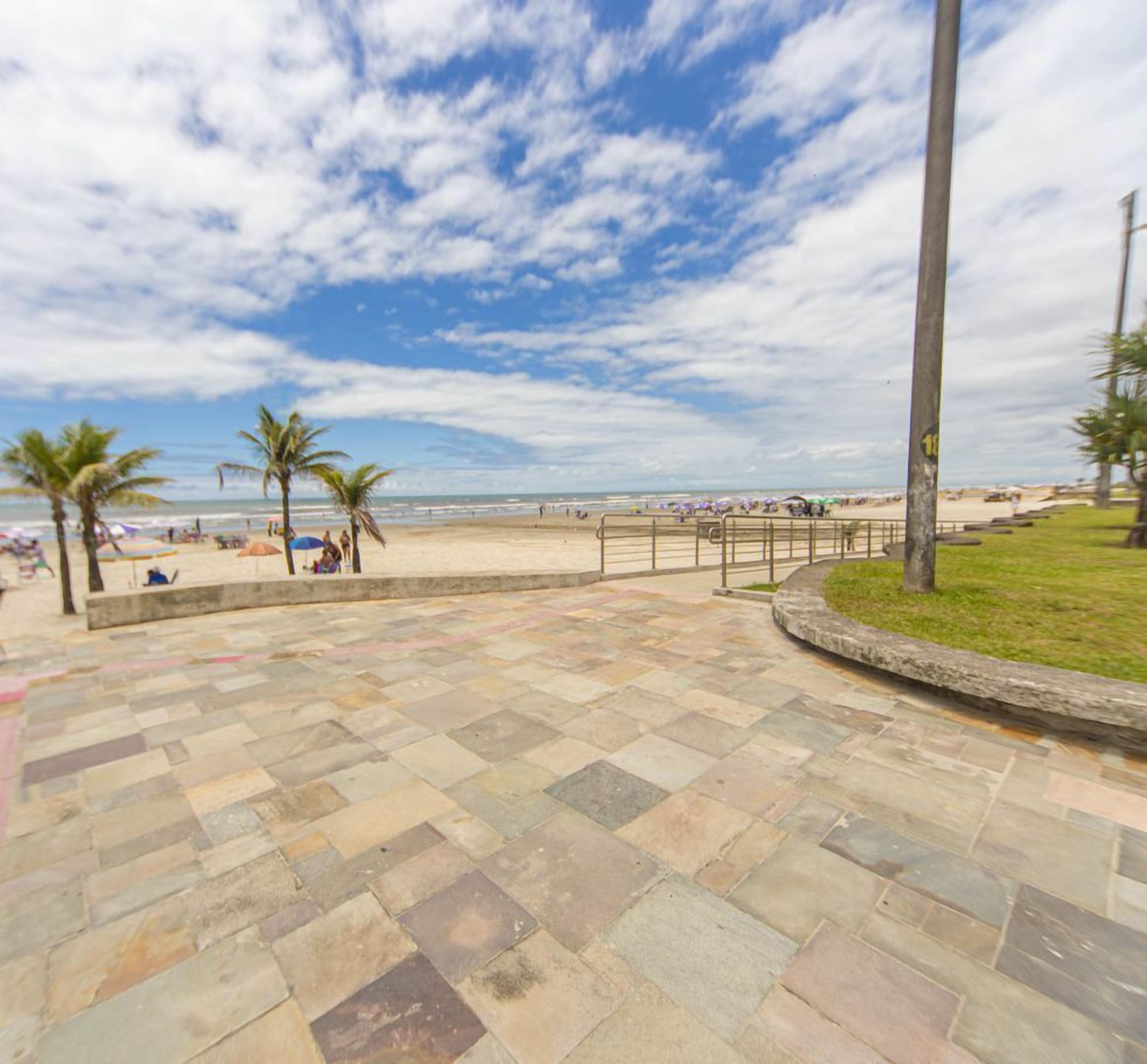 A paved walkway leading to a beach with palm trees and umbrellas.