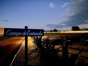 Garden view - Glamping Rincón de Lavanda (Texcoco de Mora)