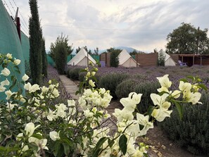 Jardín