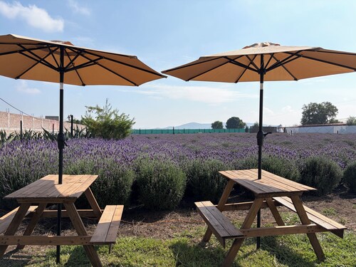 Glamping Rincón de Lavanda