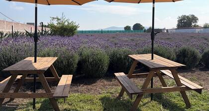 Glamping Rincón de Lavanda