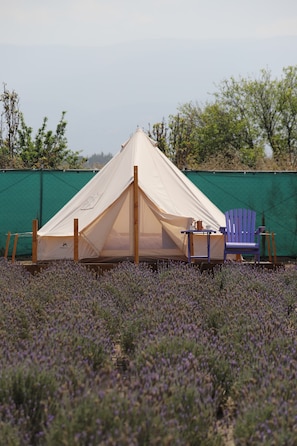 Premium Tent, Balcony, Garden View | Terrace/patio - Glamping Rincón de Lavanda (Texcoco de Mora)