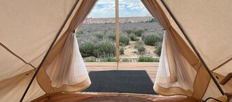 Glamping Rincón de Lavanda