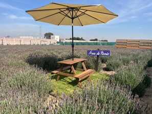 Property grounds - Glamping Rincón de Lavanda (Texcoco de Mora)