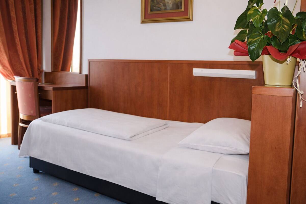 Standard Single Room, Balcony, Partial Lake View | In-room safe, desk, blackout curtains, free WiFi