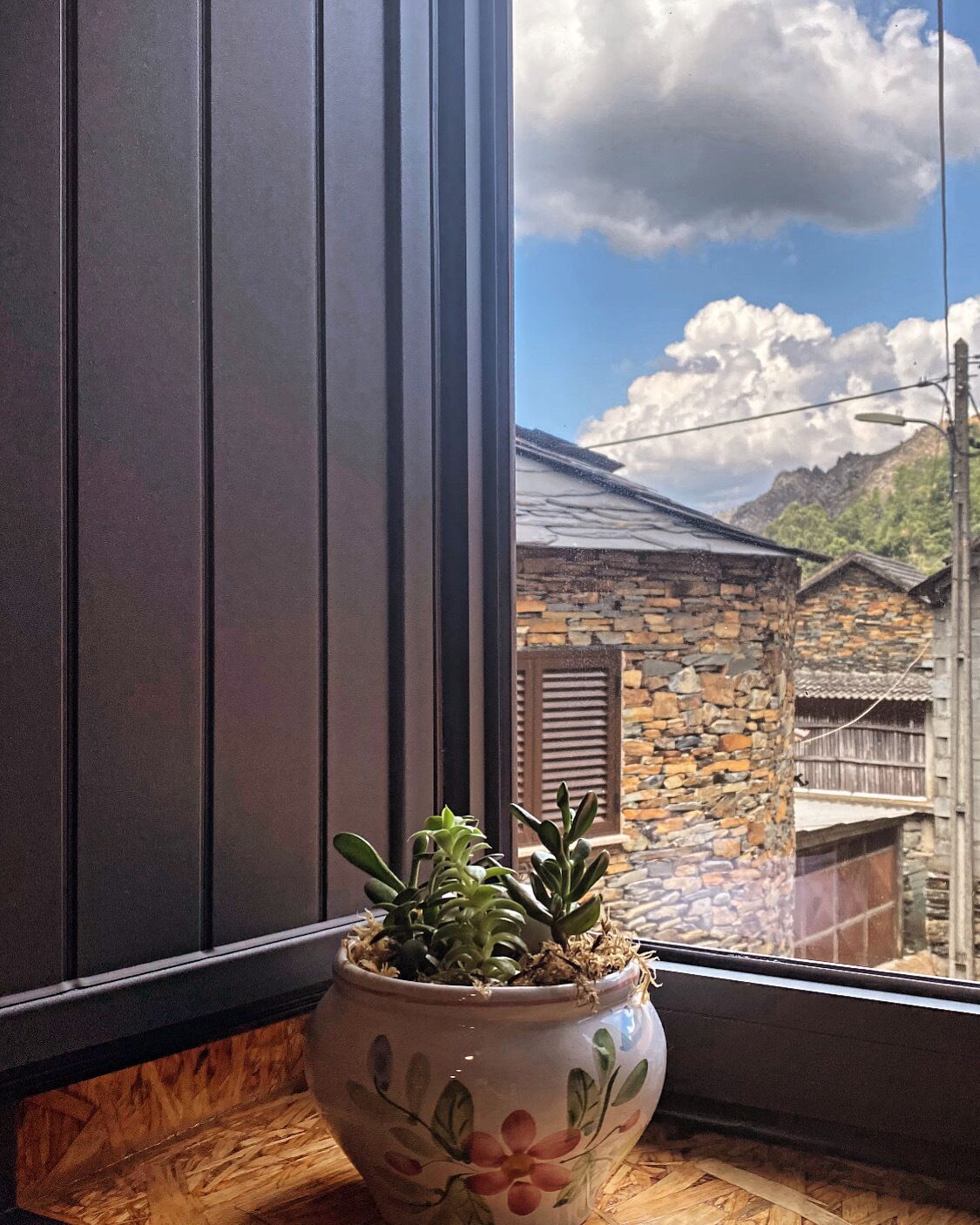 Uma planta em vaso num parapeito com vista para um edifício de pedra e montanhas.