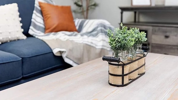 Un soggiorno con un divano, un tavolino da caffè e un'elegante composizione di piante.