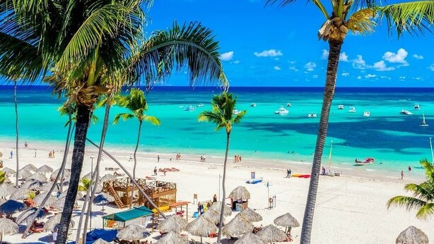 Ein Strand mit Palmen, klarem türkisblauem Wasser und einer Holzkonstruktion.