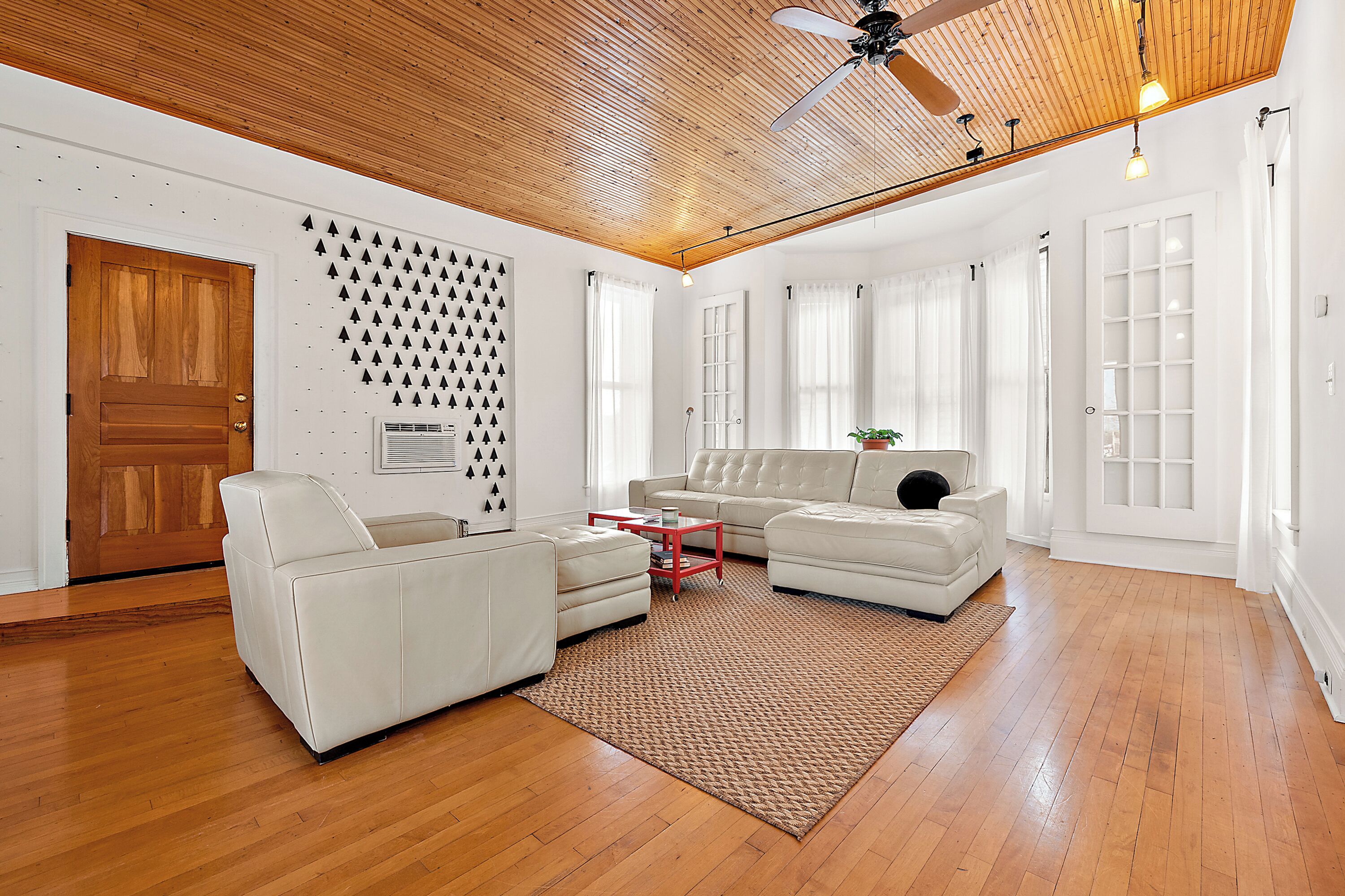 Smart TV, libri, monitor per computer