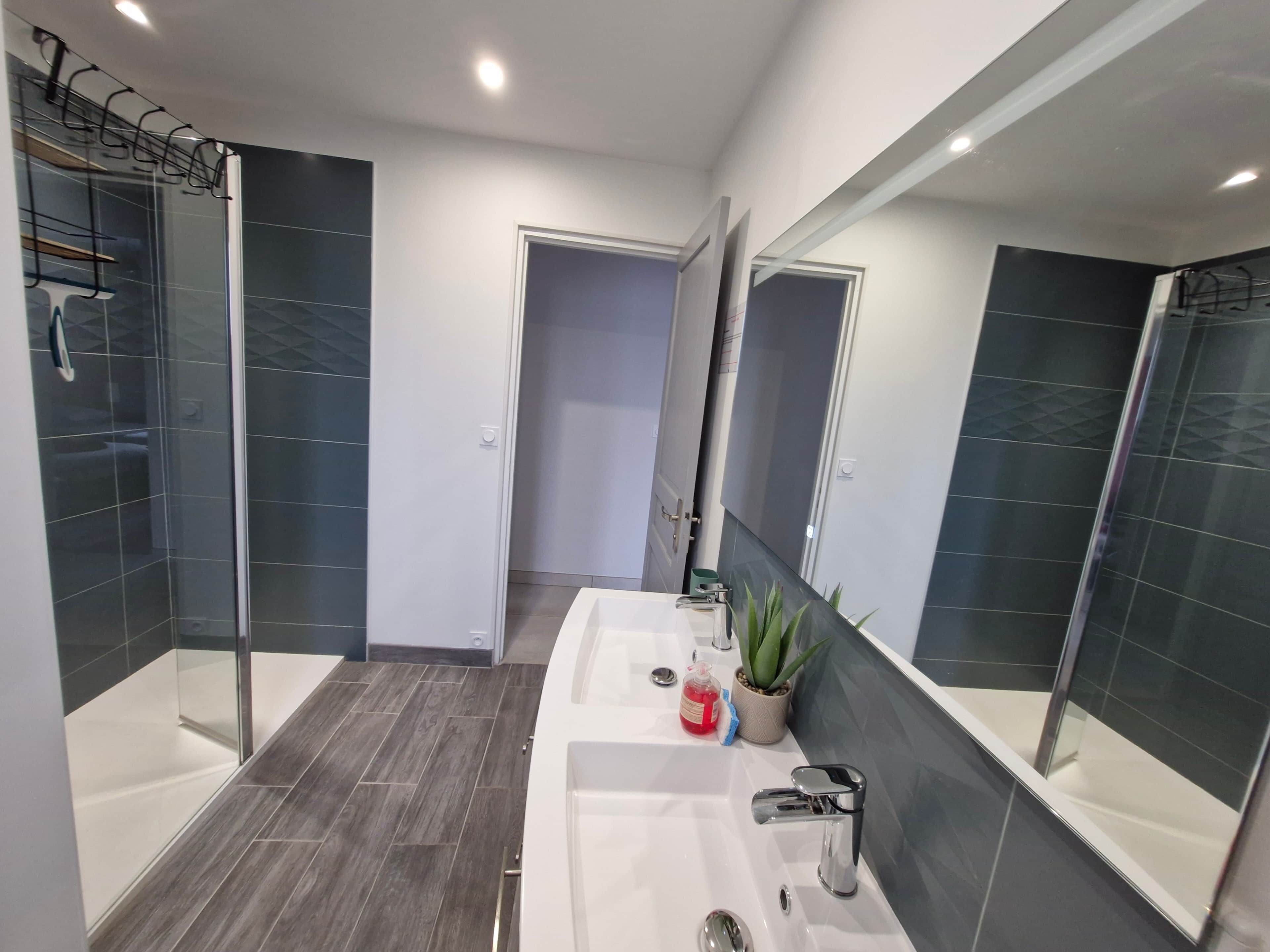 Shower, hair dryer, towels, toilet paper