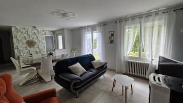 TV, fireplace, books