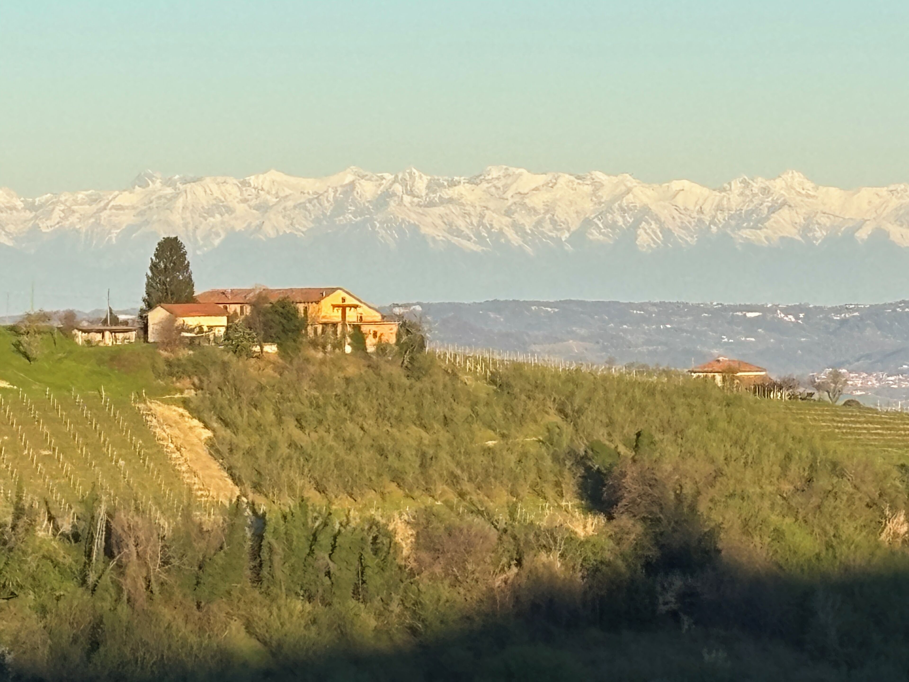 Un vignoble avec un bâtiment situé sur une colline, une chaîne de montagnes en arrière-plan et un ciel dégagé.