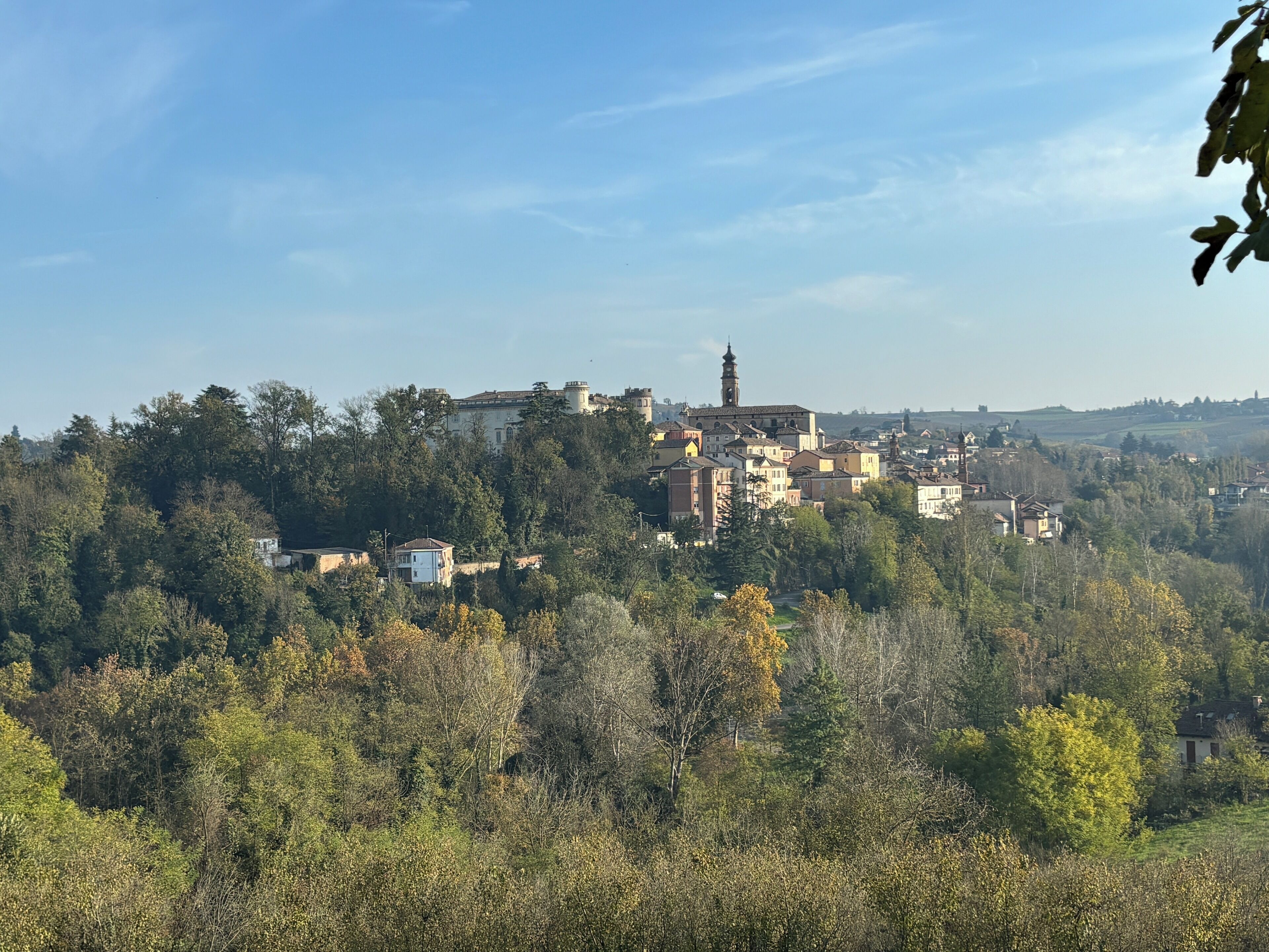 A town with historic buildings, including a prominent tower, surrounded by dense forest.