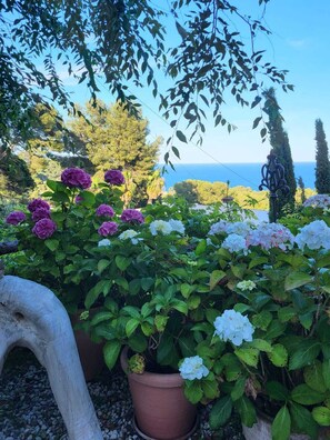 Exterior detail - Apartment with garden and sea view in Sta.Cristina, Blanes (Blanes)