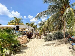 Un cafè a la vora de la platja amb terrassa, palmeres i un cel serè.