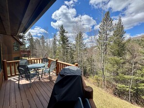 Outdoor dining - Large 5BR Ski-In/Ski-Out | Sauna | Sleeps 12 (Lutsen)
