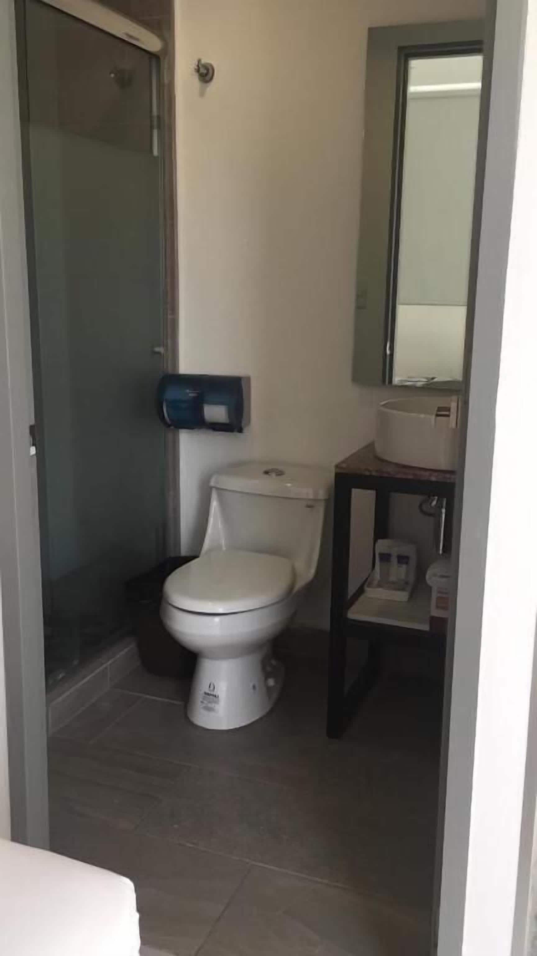 A small bathroom with a toilet, a sink, and a mirror.