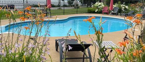 Piscine extérieure, piscine chauffée