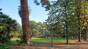 Un parco con diversi alberi, cielo sereno e un sentiero sterrato.
