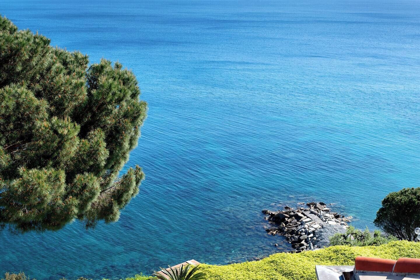 A coastal view with clear blue water, rocky shoreline, and lush greenery.