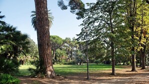 A park with a large tree, a lamp post, and a grassy area. - Casa Olivette - Two Bedroom Apartment, Sleeps 5 (Arenzano)