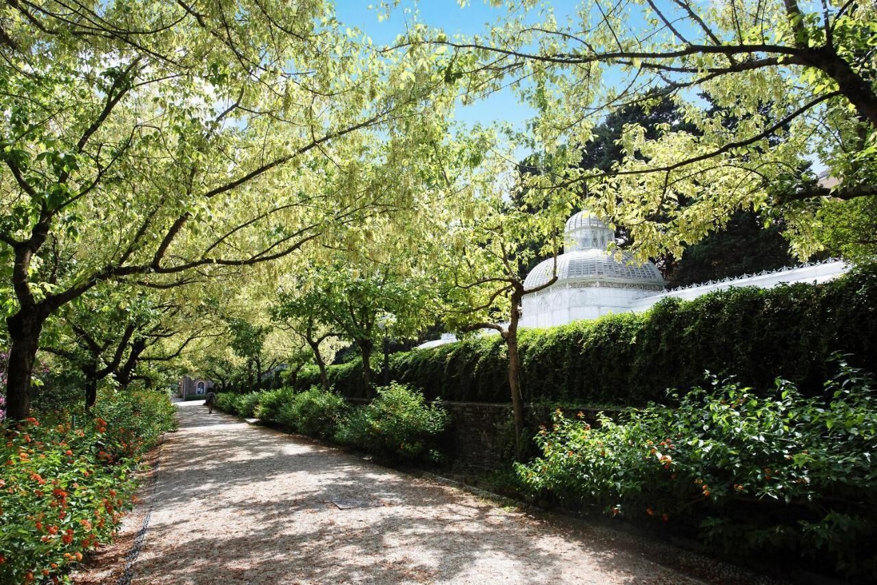 A pathway leading to a traditional building surrounded by lush greenery.