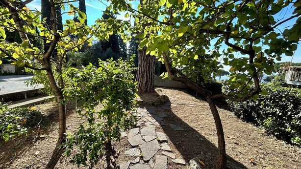 A stone pathway leading through a garden with trees and shrubs. - Casa Mimose - Two Bedroom Apartment, Sleeps 5 (Cogoleto)